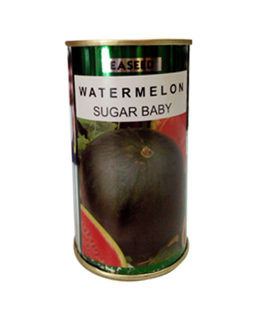 Watermelon –Sugar Baby 50g