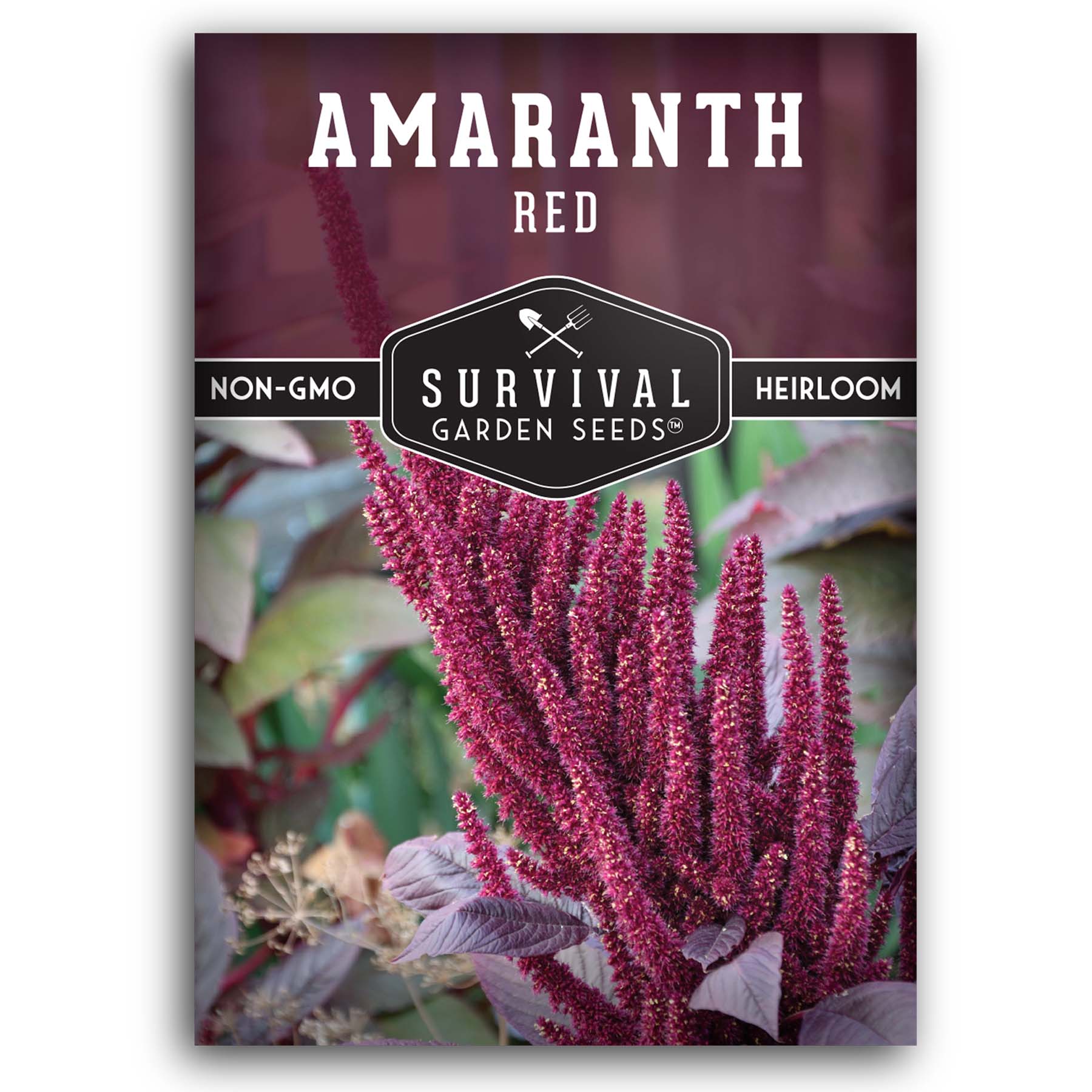 Red Amaranth -50g