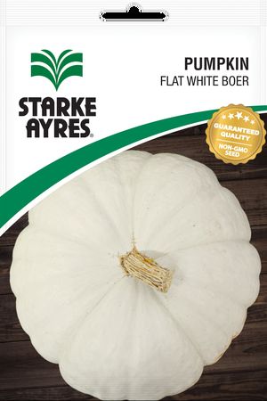 Pumpkin Flat White Boer Van Niekerk  -  50gm