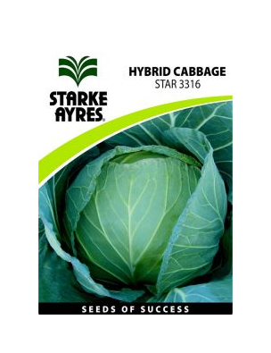 Cabbage Hybrid Star 3316   -    10grams