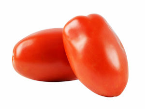 Tomato 9065 -  500grams