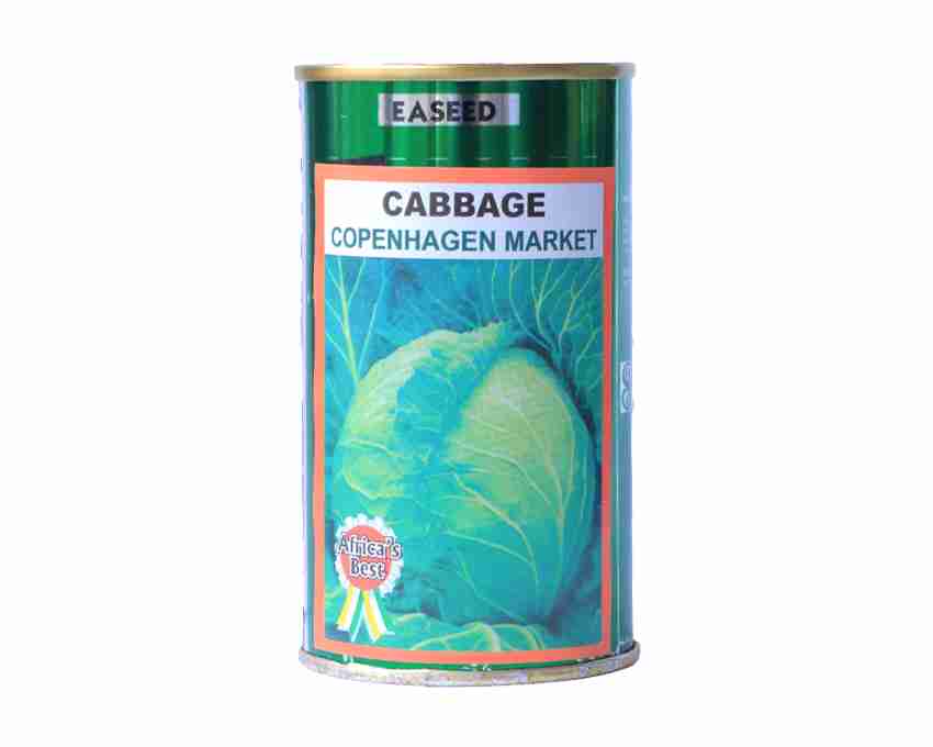 Cabbage - Copenhagen Market - The Most Popular Early Maturing Ball-headed Variety- 50gm