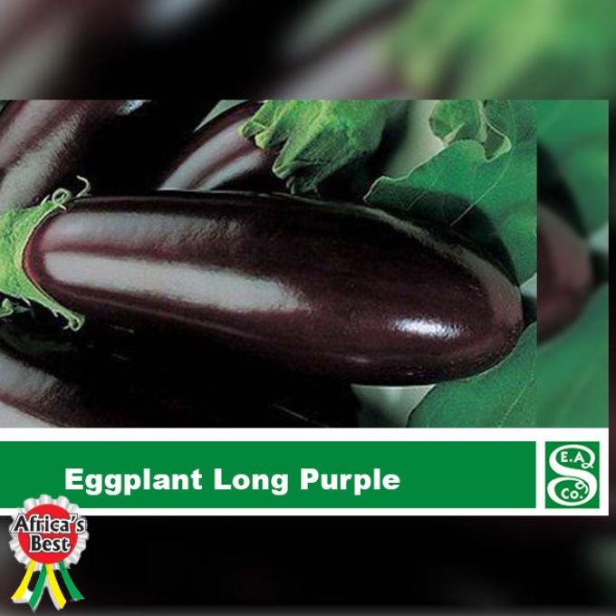 Eggplant - Long Purple-  50gm