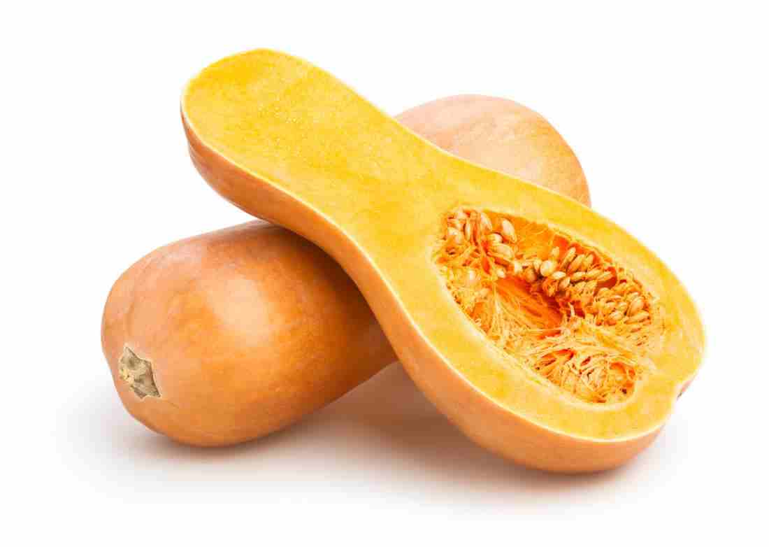 Squash - Butter Nut - 50gm -Squash Variety With Excellent Fruit Quality And Fruit Flavour