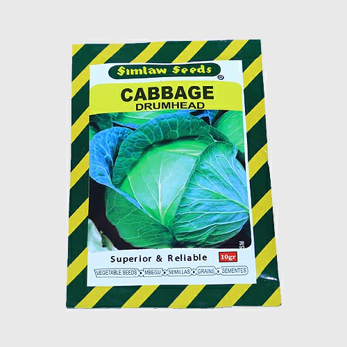 cabbage Escazu F1 -  2500 seeds 