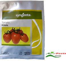 Kilele f1 tomato seeds - 1000 seeds